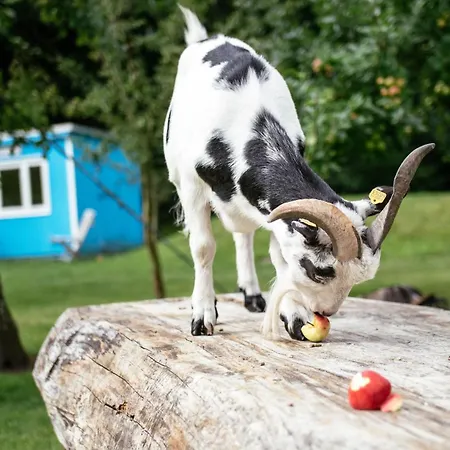 Hotel Landhafen Niebull